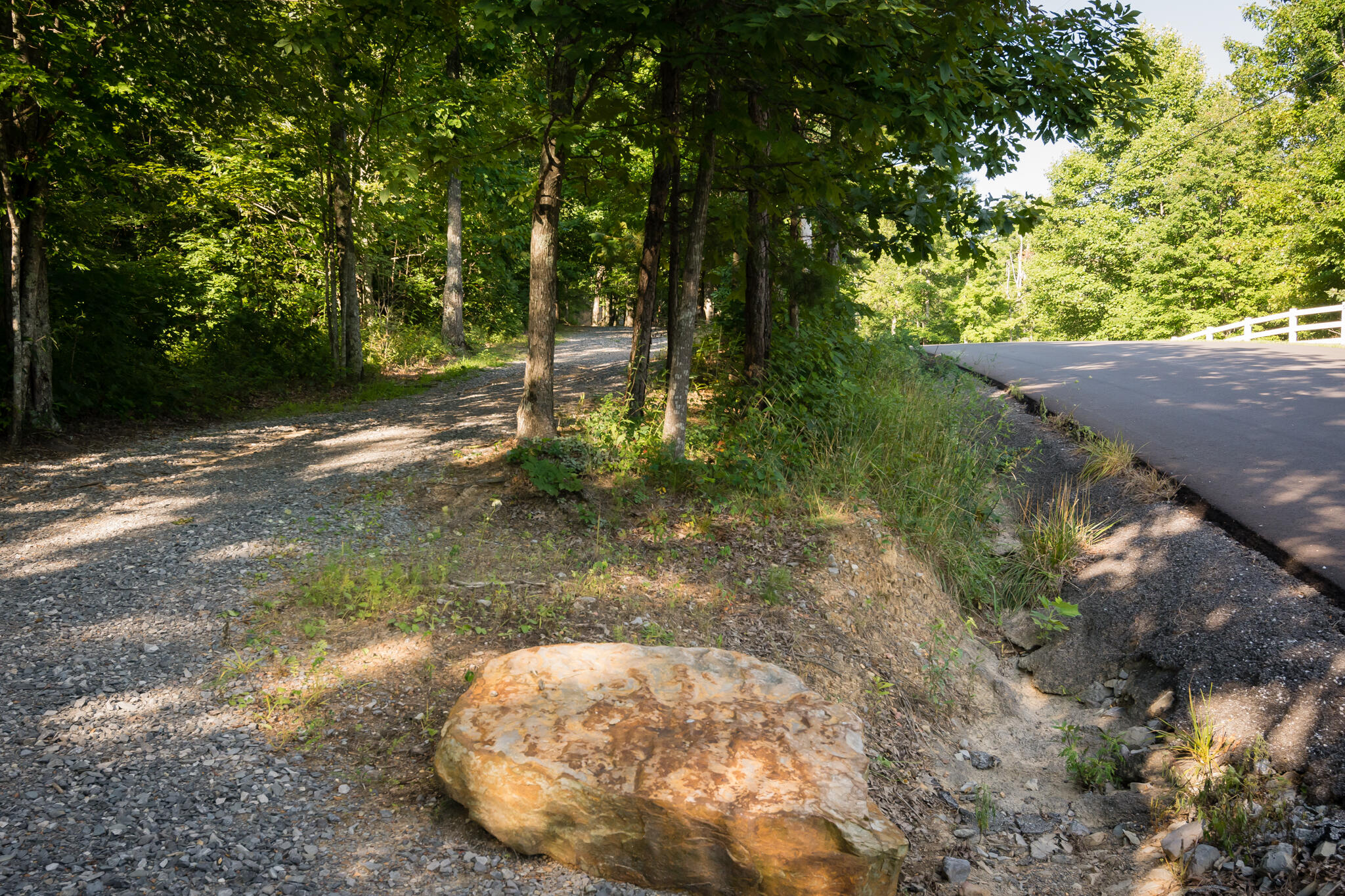 1347 Roaring Creek Road Dunlap, TN 37327 - Photo 68 of 89 FMNR Golfcart Trail