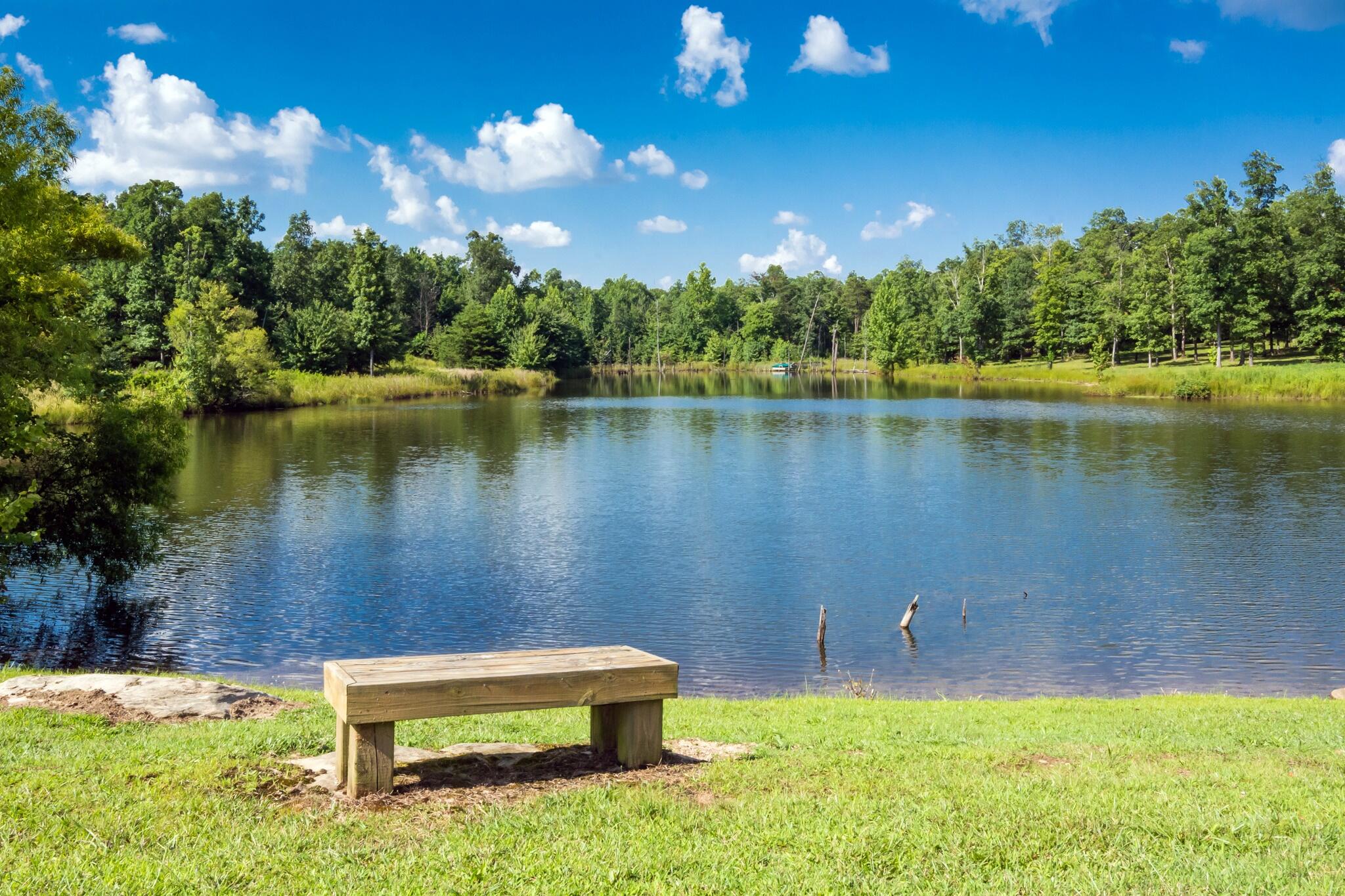 1347 Roaring Creek Road Dunlap, TN 37327 - Photo 73 of 89 Lake George and bench