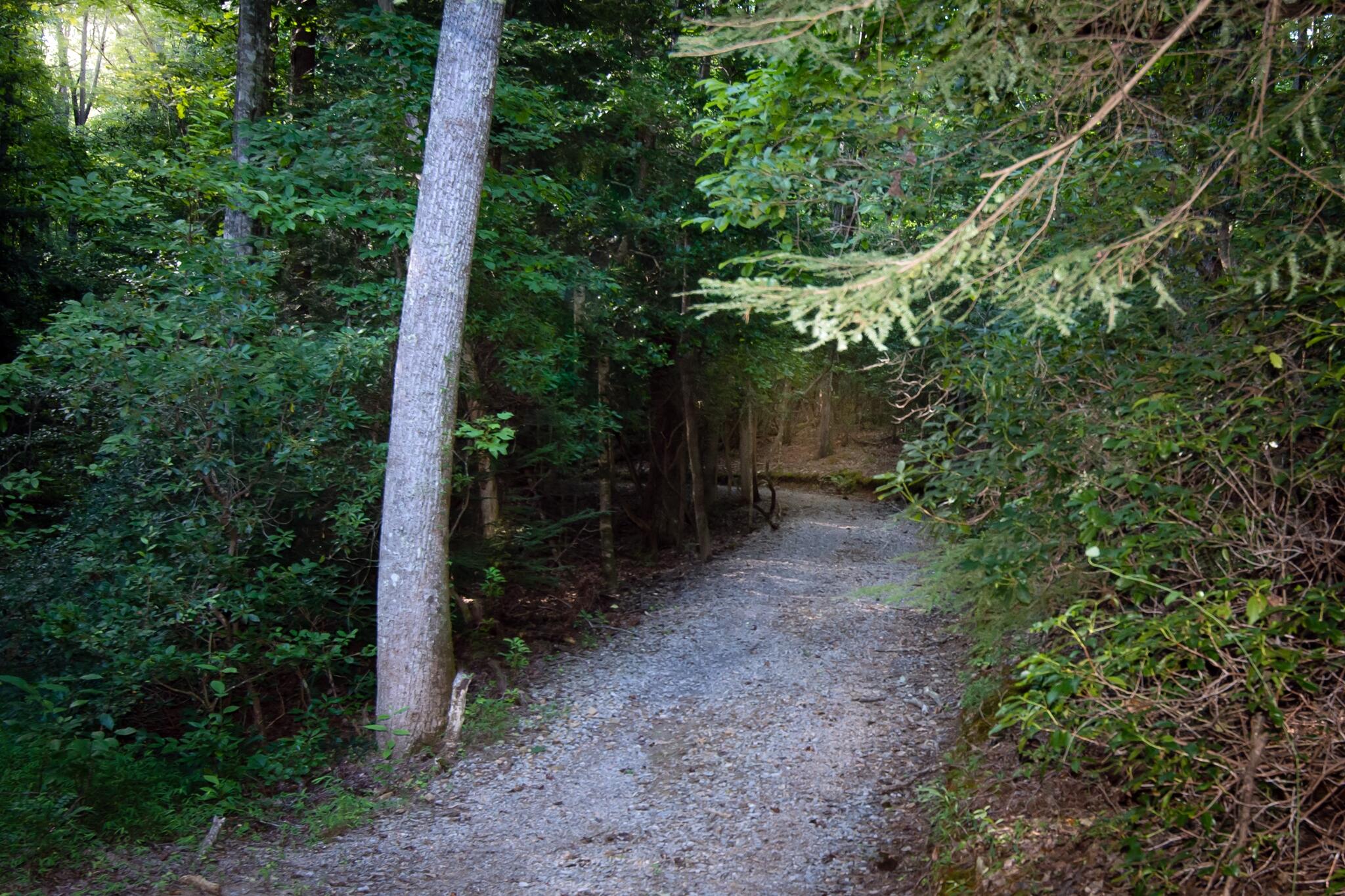 1347 Roaring Creek Road Dunlap, TN 37327 - Photo 80 of 89 Mother's Bridge Trail
