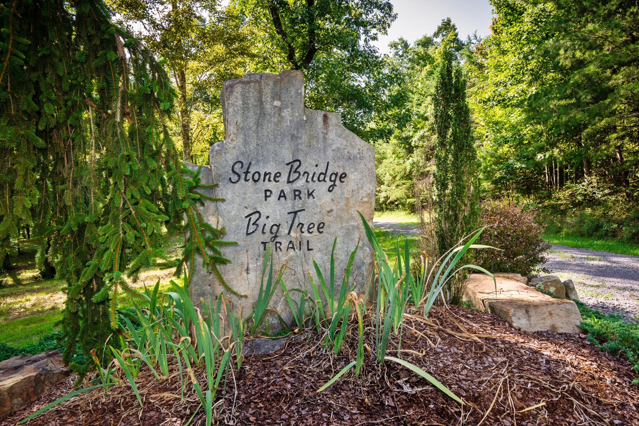 1347 Roaring Creek Road Dunlap, TN 37327 - Photo 81 of 89 Stone Bridge Park Trailhead
