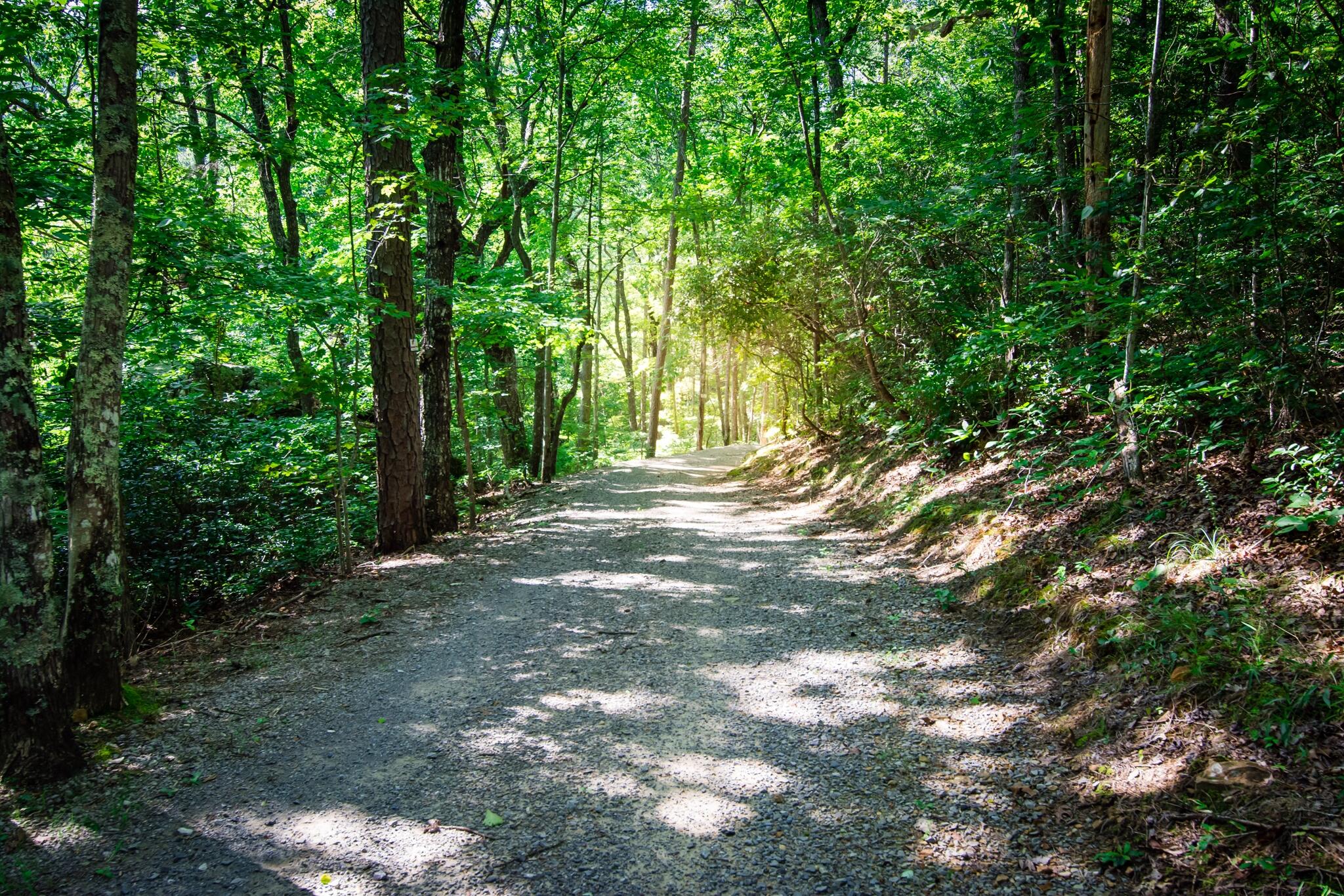 1347 Roaring Creek Road Dunlap, TN 37327 - Photo 82 of 89 Stone Bridge Trail