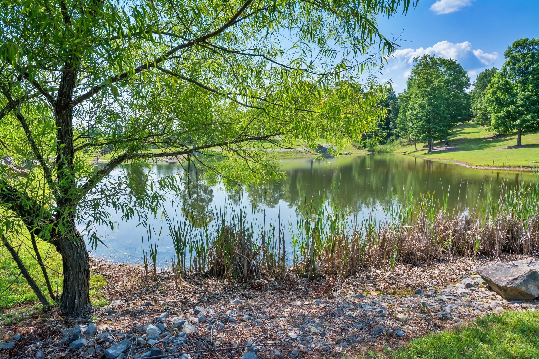 1347 Roaring Creek Road Dunlap, TN 37327 - Photo 86 of 89 Stone Creek Pond 2