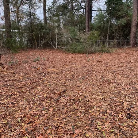 a view of a yard with trees