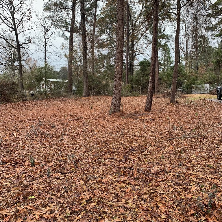 Tbd Pecan Onalaska, TX 77360 - Photo 2 of 5 a view of a outdoor space with trees