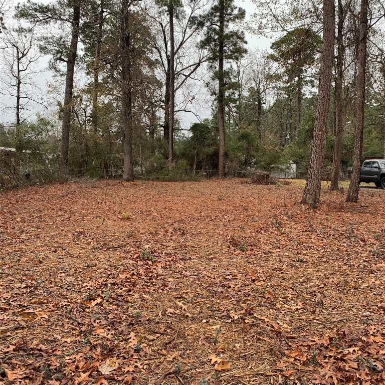 Tbd Pecan Onalaska, TX 77360 - Photo 3 of 5 a view of open space with trees