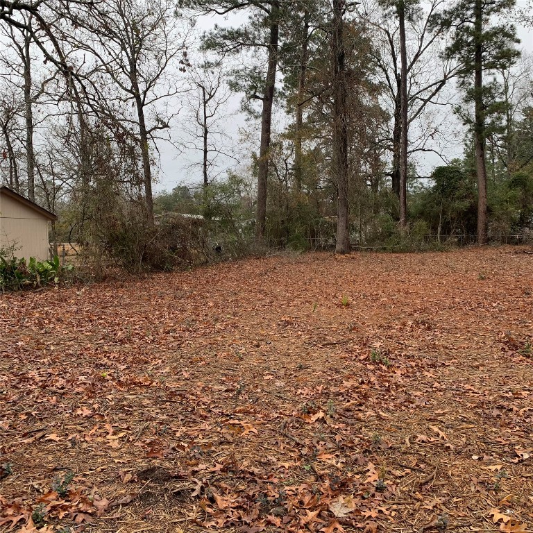 Tbd Pecan Onalaska, TX 77360 - Photo 4 of 5 a view of dirt field