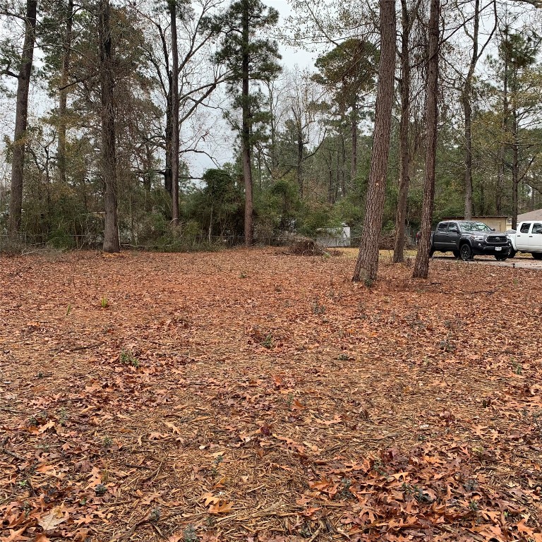 Tbd Pecan Onalaska, TX 77360 - Photo 5 of 5 a backyard of a house with lots of green space