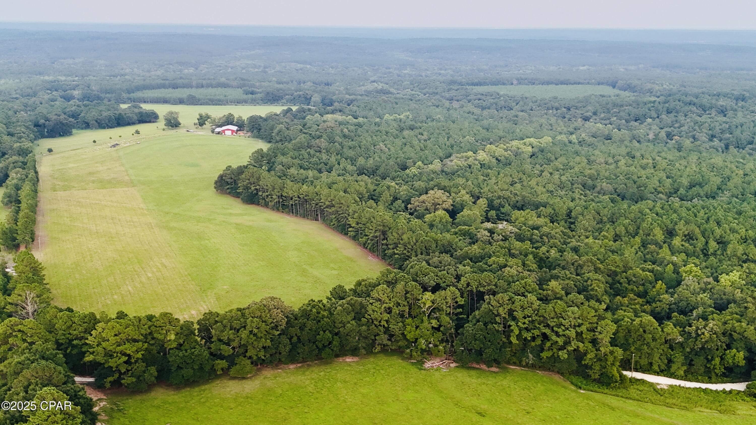 8645 Moores Mill Creek Road Baker, FL 32531 - Photo 11 of 38