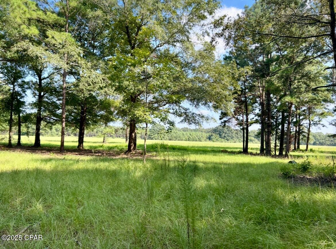 8645 Moores Mill Creek Road Baker, FL 32531 - Photo 13 of 38