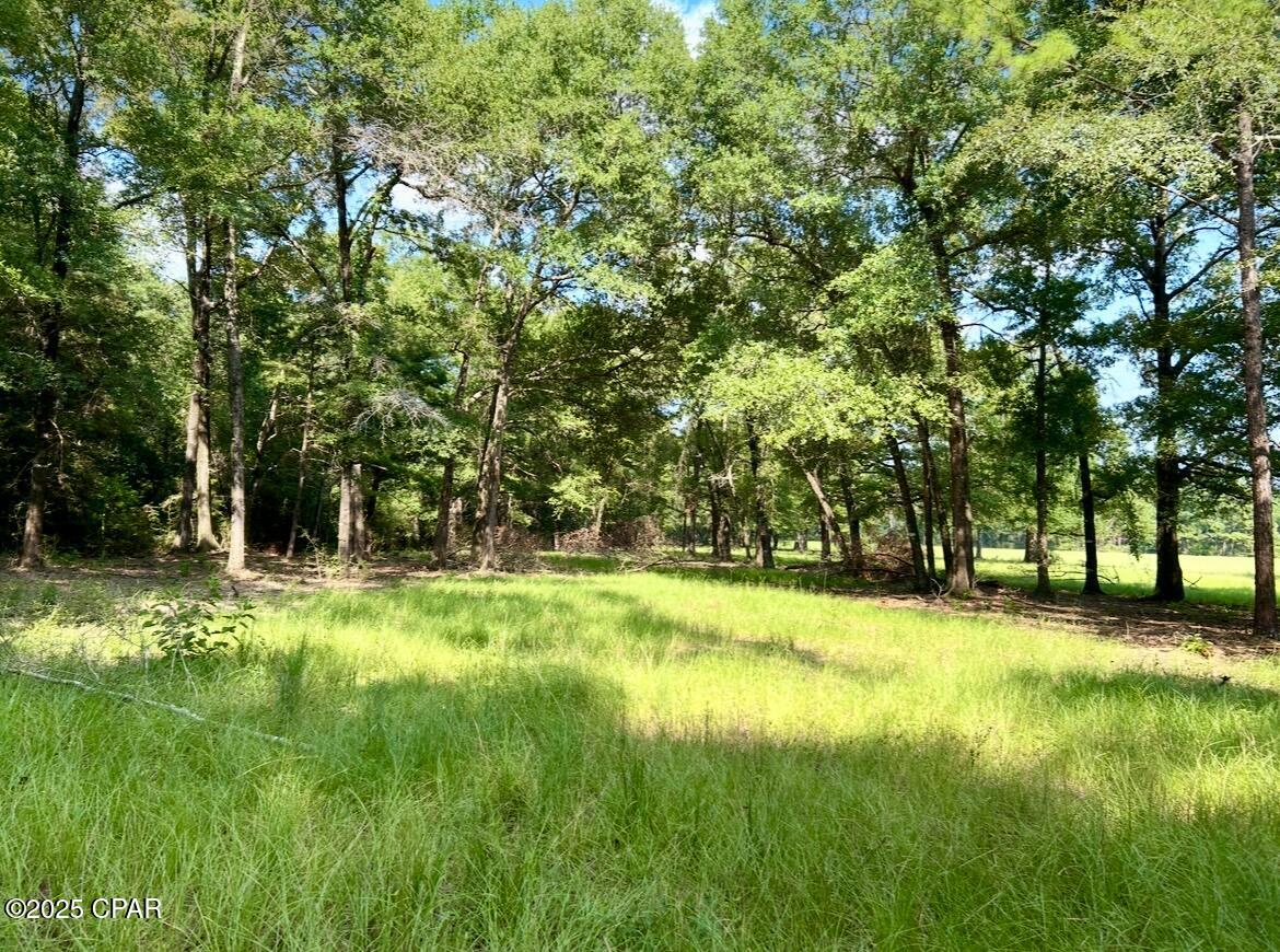 8645 Moores Mill Creek Road Baker, FL 32531 - Photo 14 of 38