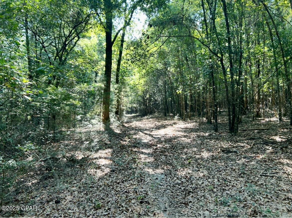 8645 Moores Mill Creek Road Baker, FL 32531 - Photo 15 of 38