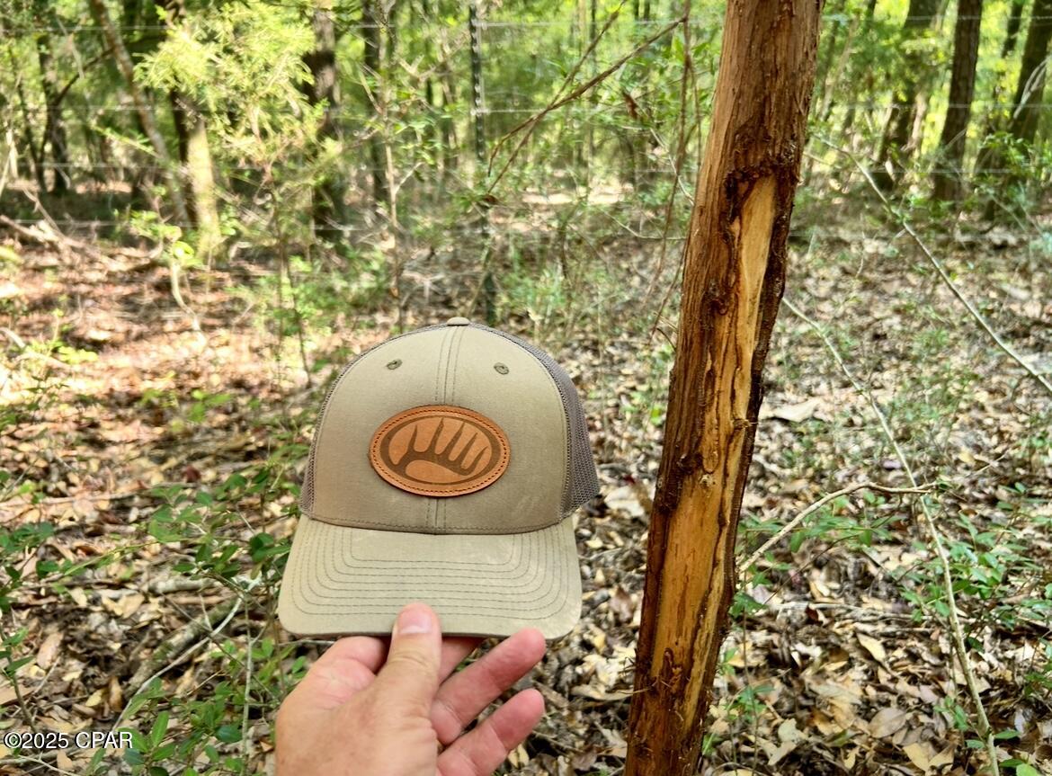 8645 Moores Mill Creek Road Baker, FL 32531 - Photo 16 of 38