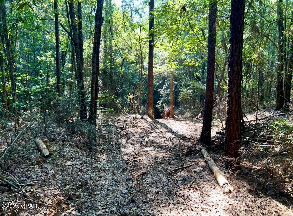 8645 Moores Mill Creek Road Baker, FL 32531 - Photo 17 of 38