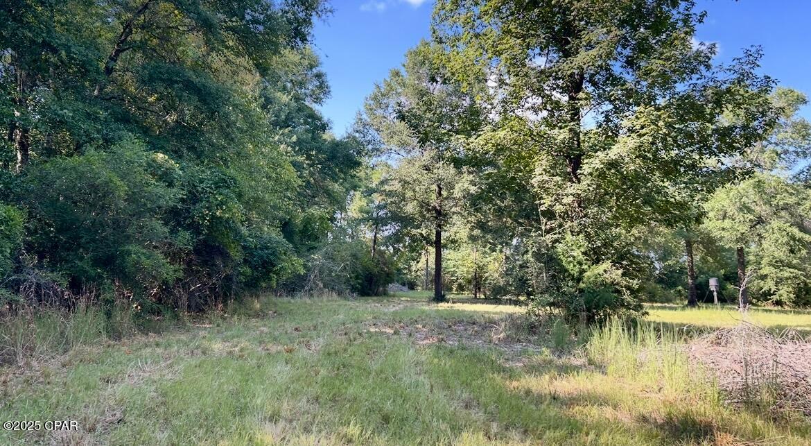 8645 Moores Mill Creek Road Baker, FL 32531 - Photo 18 of 38