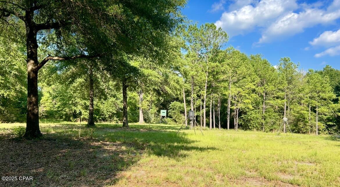 8645 Moores Mill Creek Road Baker, FL 32531 - Photo 20 of 38