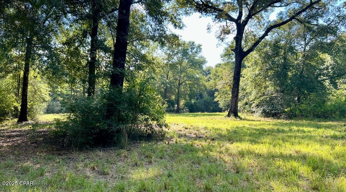 8645 Moores Mill Creek Road Baker, FL 32531 - Photo 21 of 38