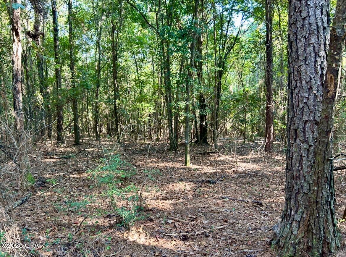 8645 Moores Mill Creek Road Baker, FL 32531 - Photo 23 of 38