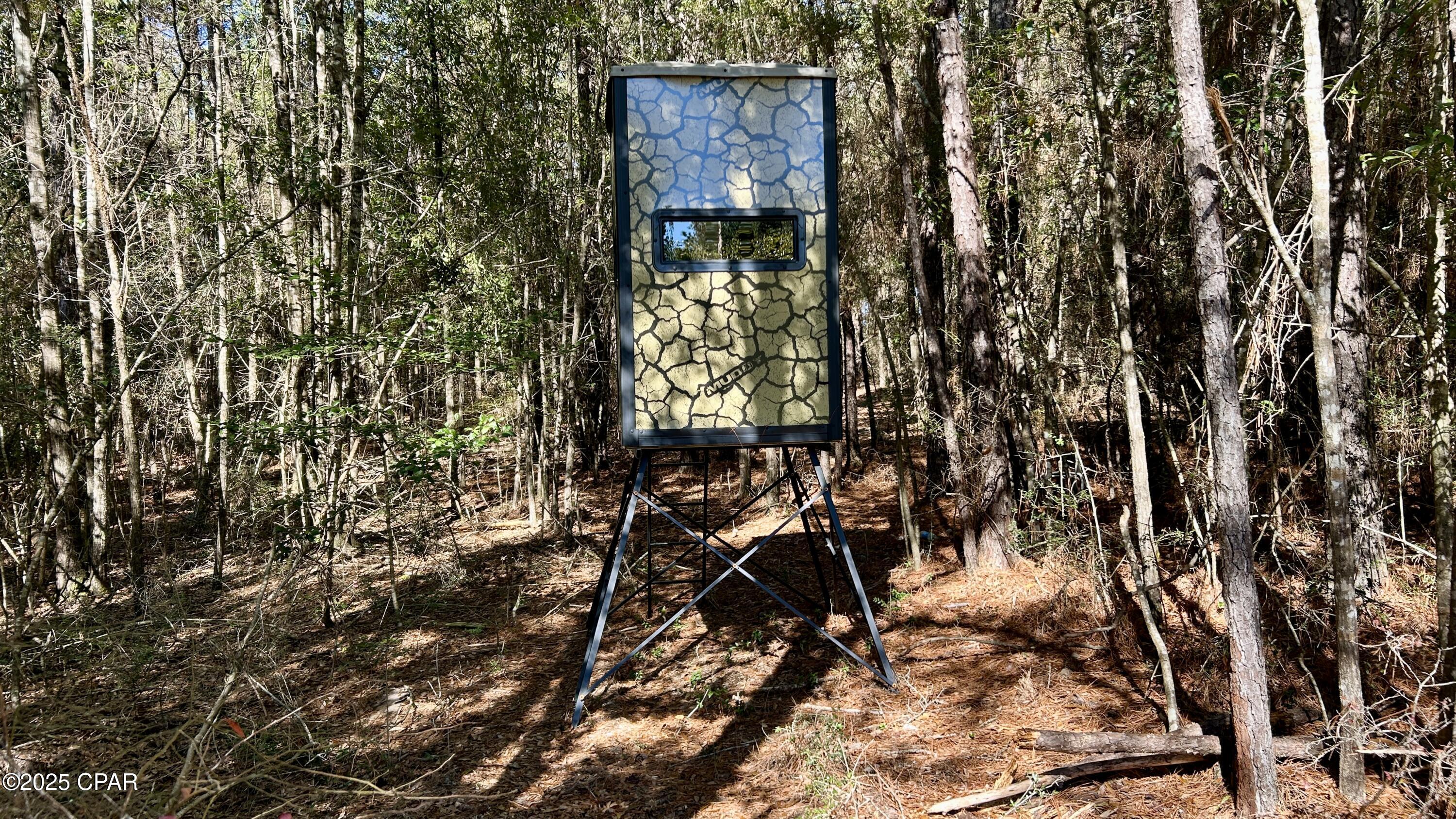 8645 Moores Mill Creek Road Baker, FL 32531 - Photo 24 of 38