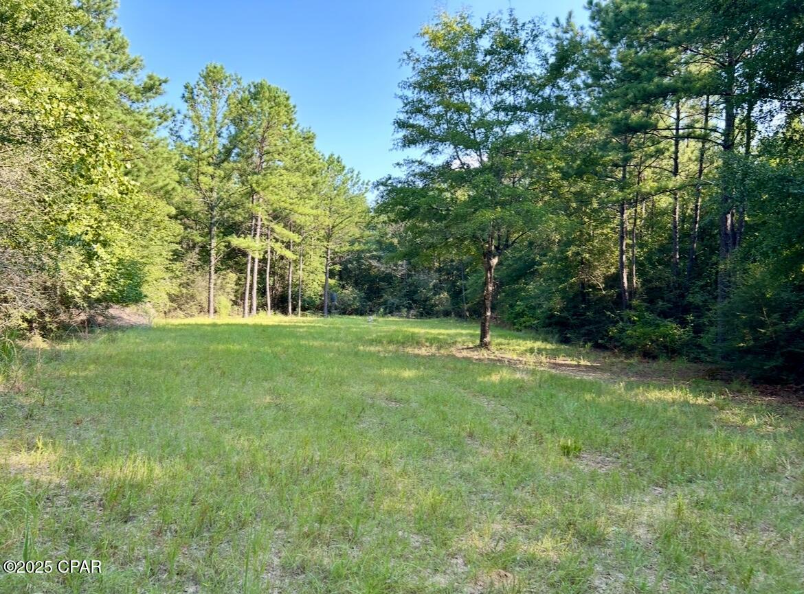 8645 Moores Mill Creek Road Baker, FL 32531 - Photo 25 of 38