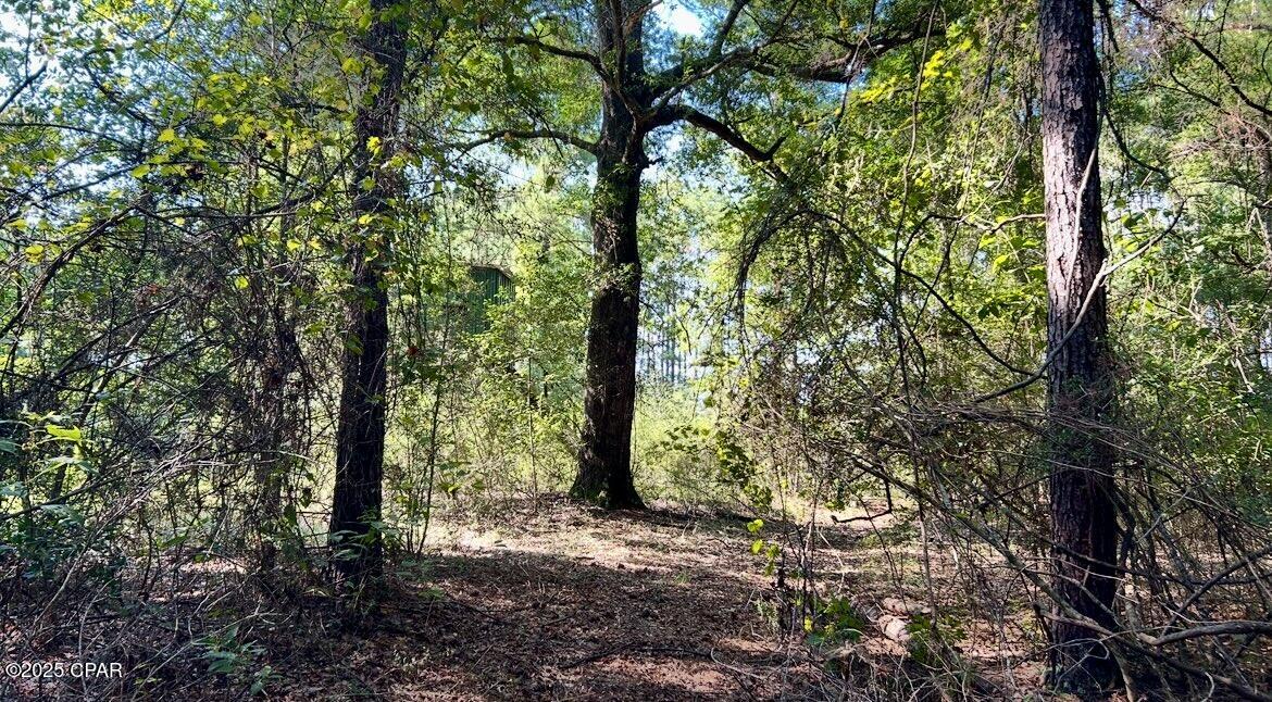 8645 Moores Mill Creek Road Baker, FL 32531 - Photo 27 of 38