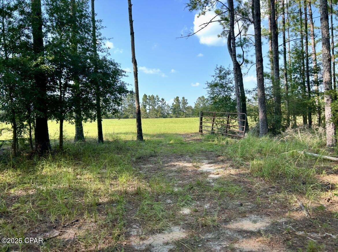 8645 Moores Mill Creek Road Baker, FL 32531 - Photo 28 of 38