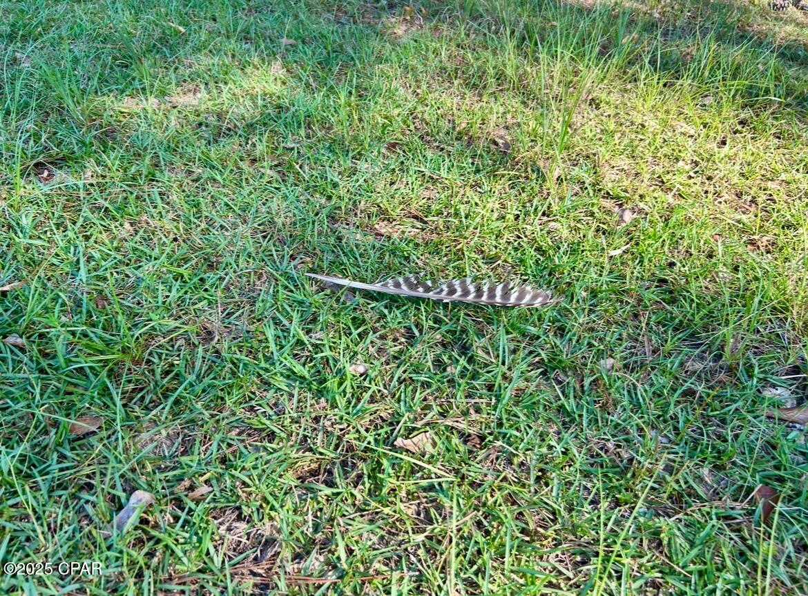 8645 Moores Mill Creek Road Baker, FL 32531 - Photo 29 of 38