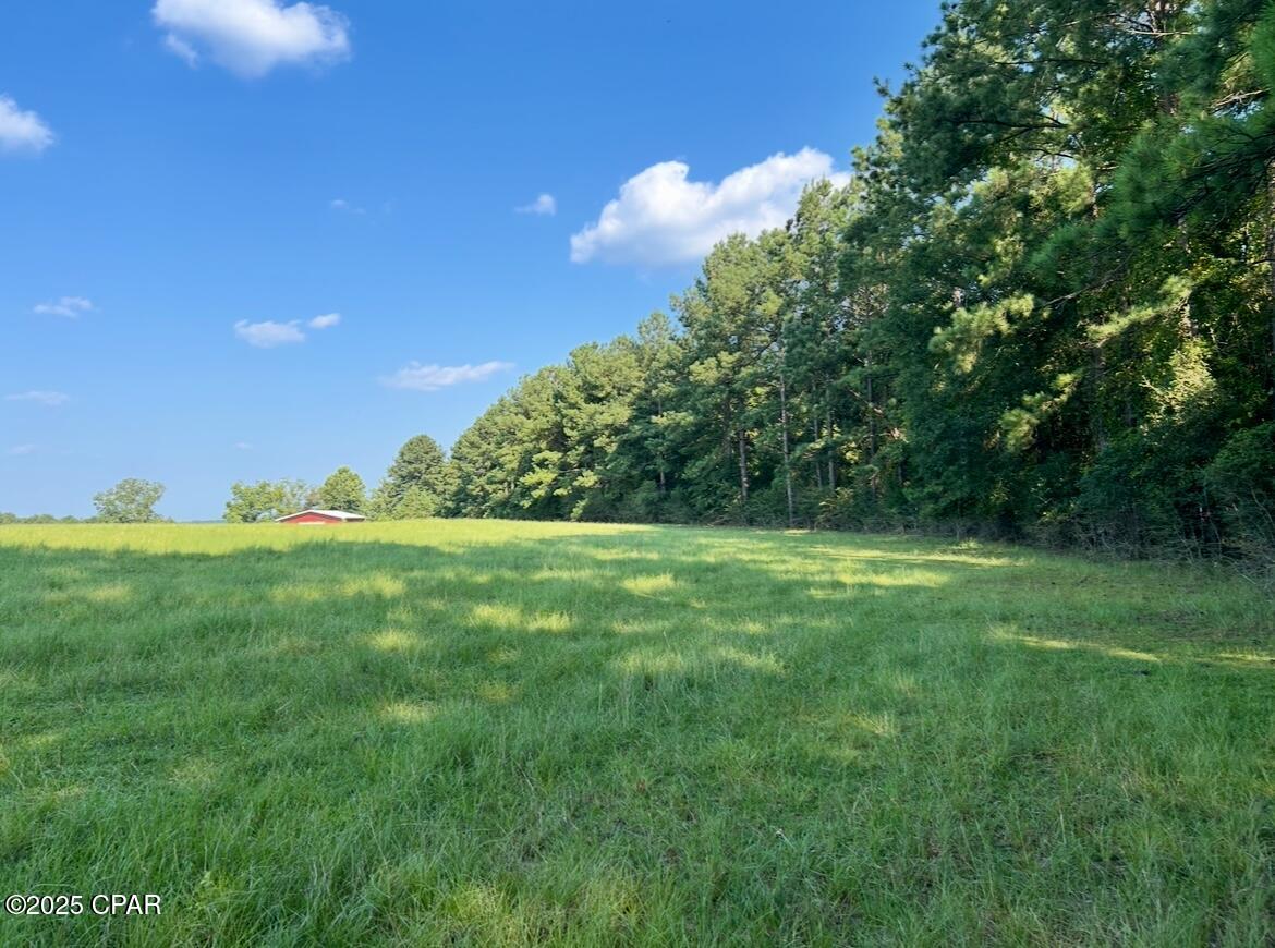 8645 Moores Mill Creek Road Baker, FL 32531 - Photo 30 of 38