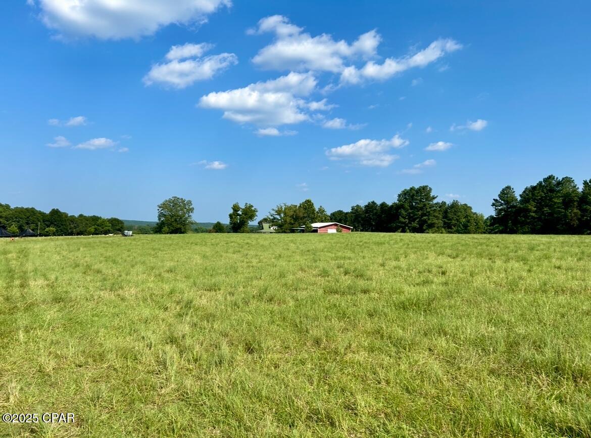 8645 Moores Mill Creek Road Baker, FL 32531 - Photo 31 of 38