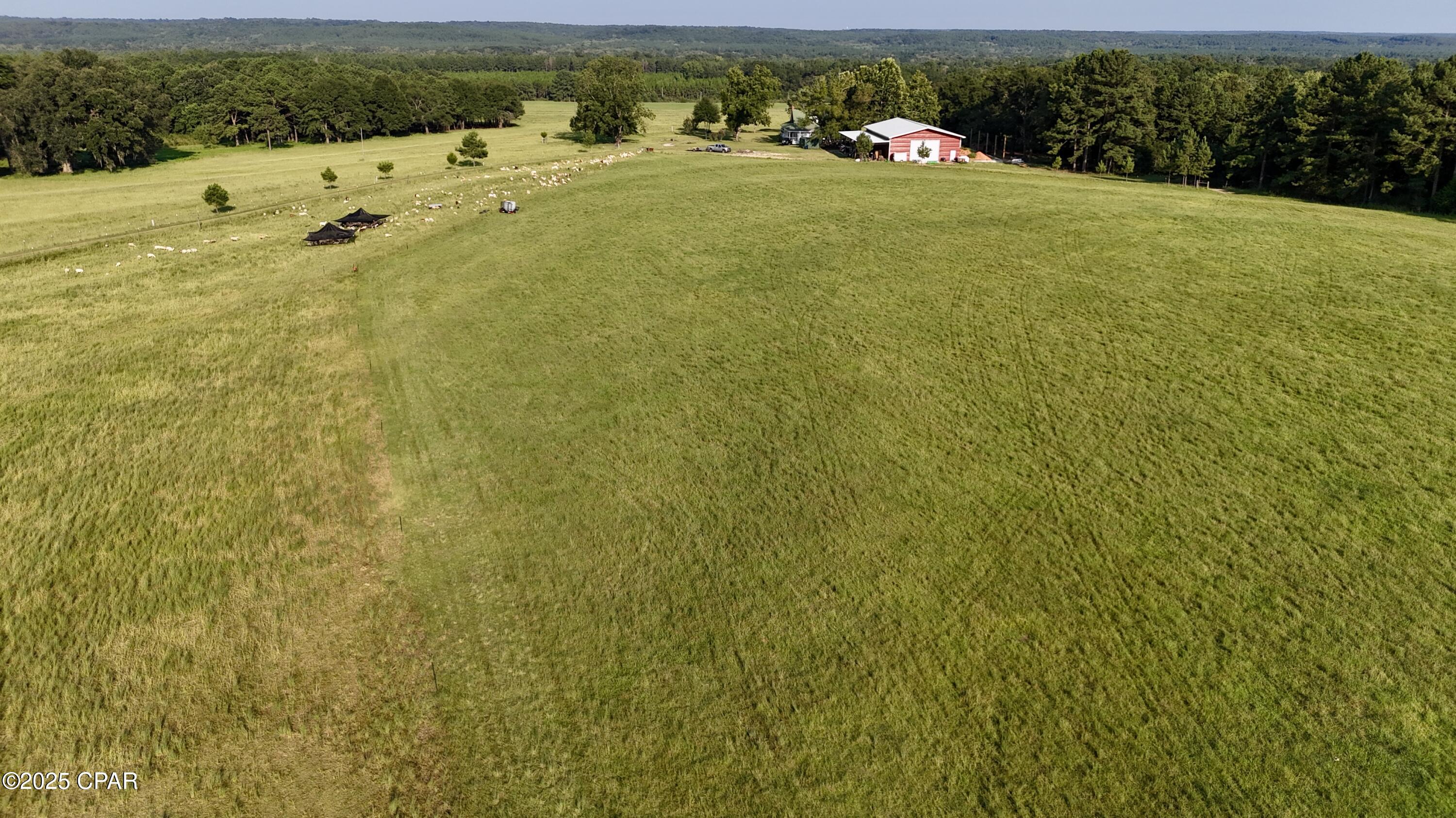 8645 Moores Mill Creek Road Baker, FL 32531 - Photo 32 of 38