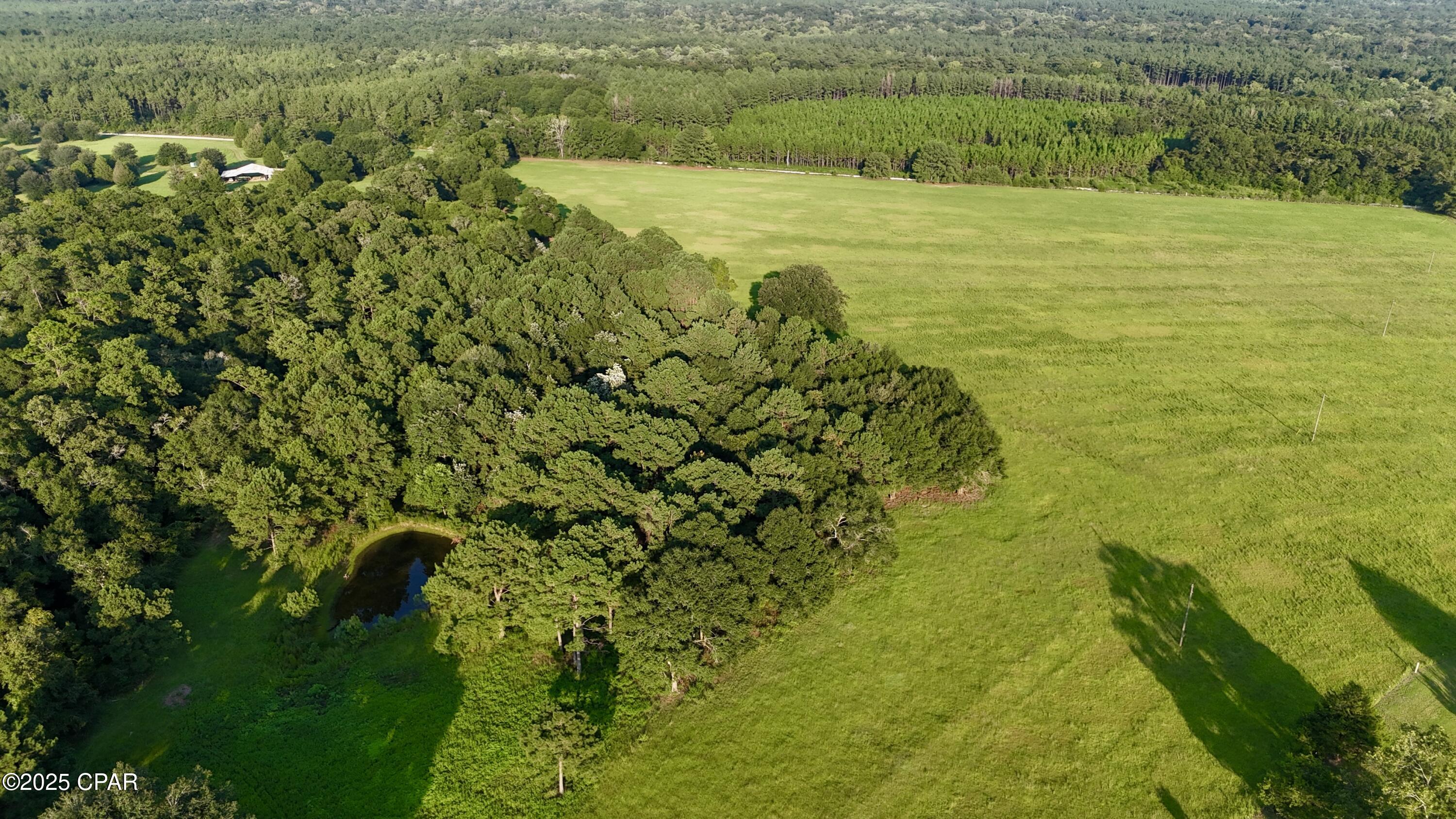 8645 Moores Mill Creek Road Baker, FL 32531 - Photo 4 of 38