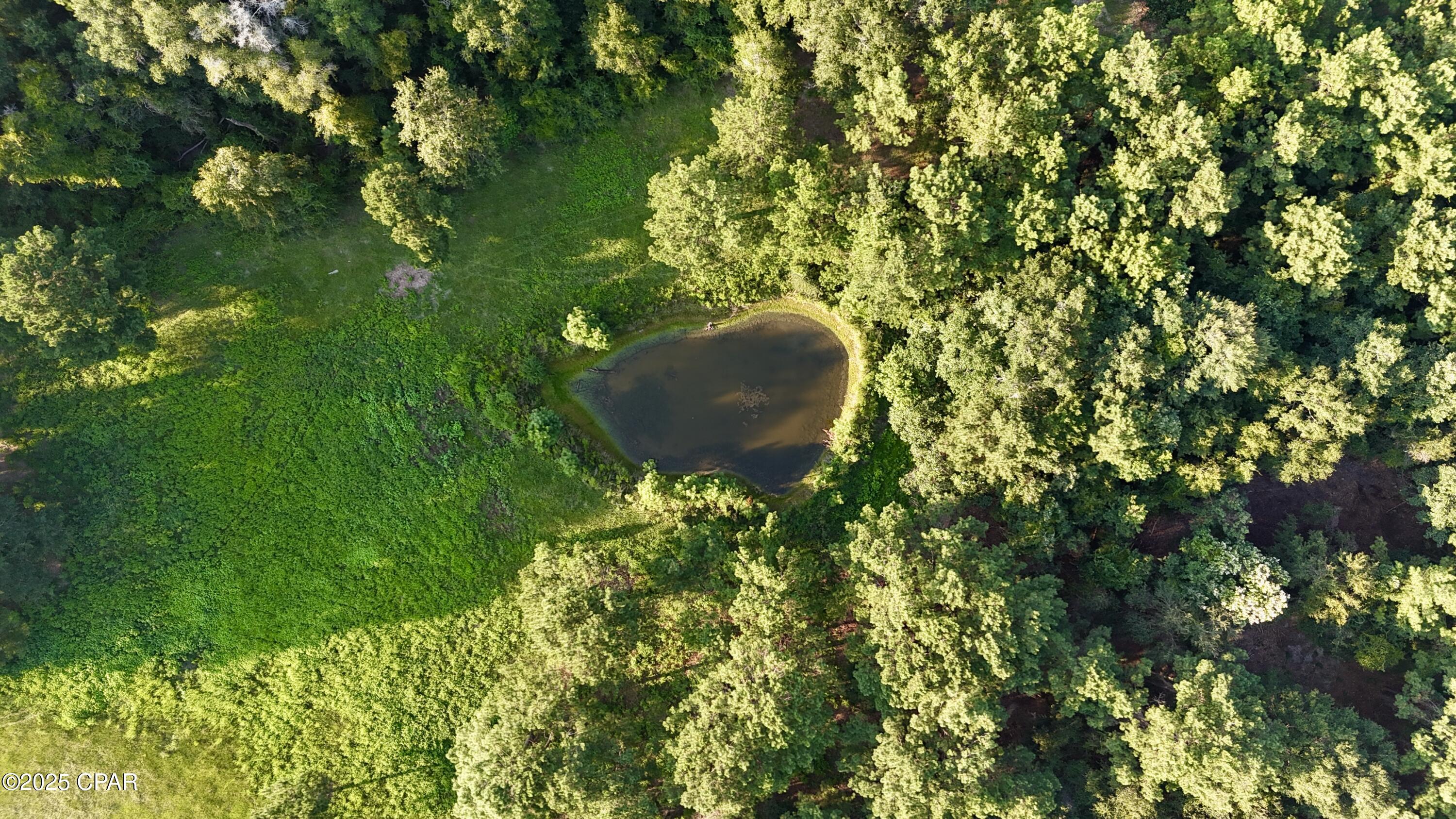 8645 Moores Mill Creek Road Baker, FL 32531 - Photo 5 of 38