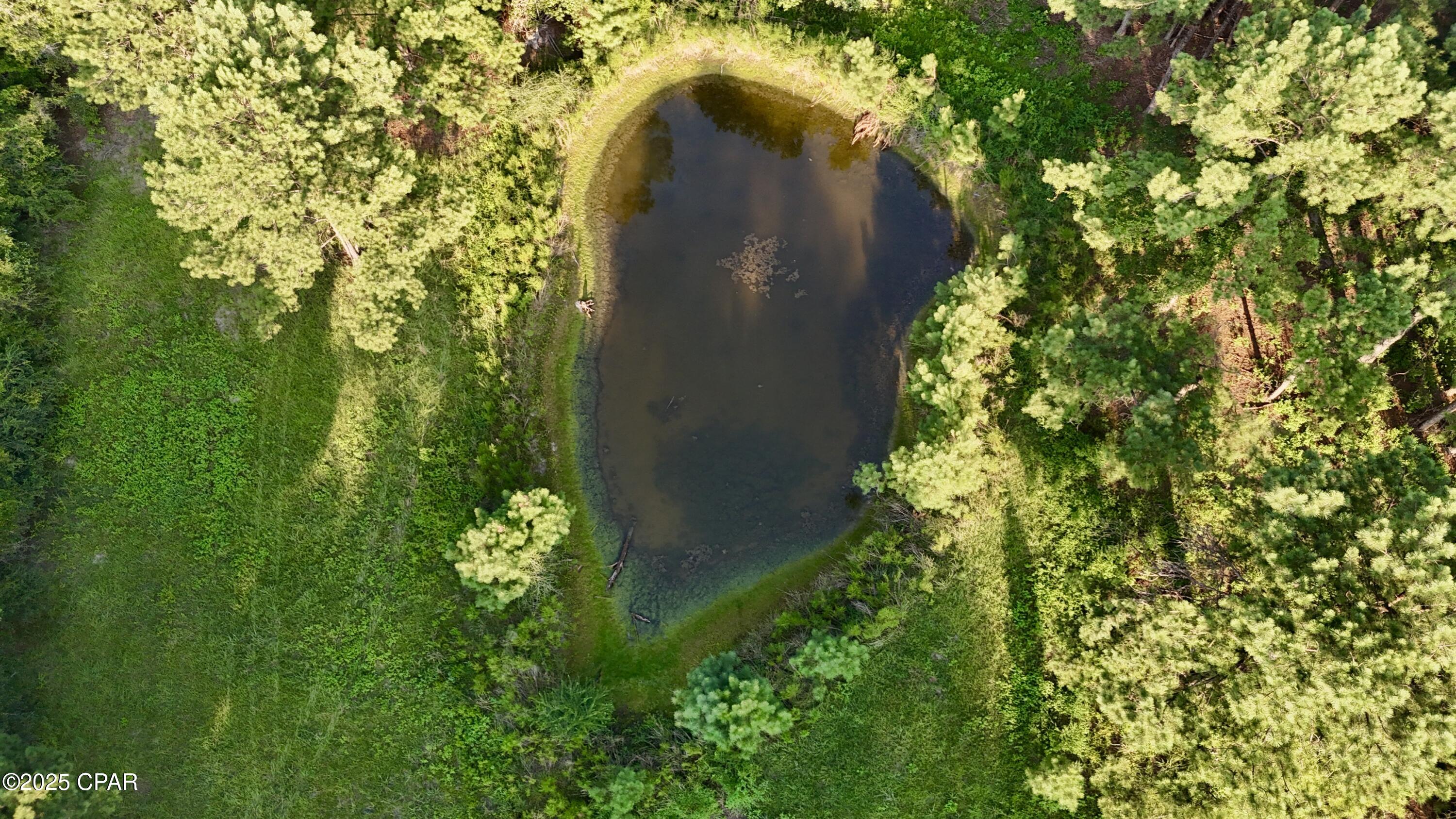 8645 Moores Mill Creek Road Baker, FL 32531 - Photo 6 of 38