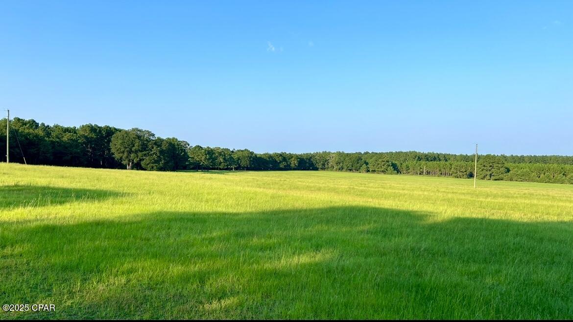 8645 Moores Mill Creek Road Baker, FL 32531 - Photo 7 of 38