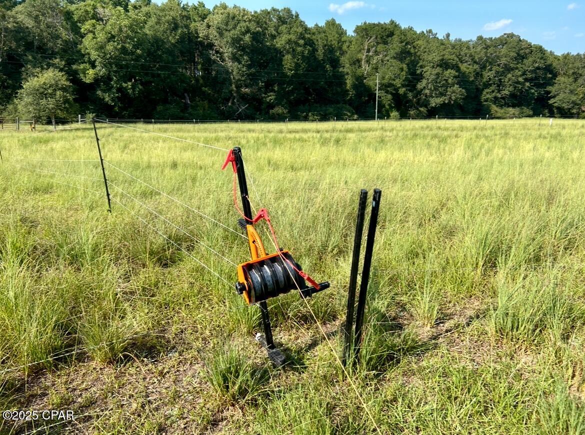8645 Moores Mill Creek Road Baker, FL 32531 - Photo 8 of 38