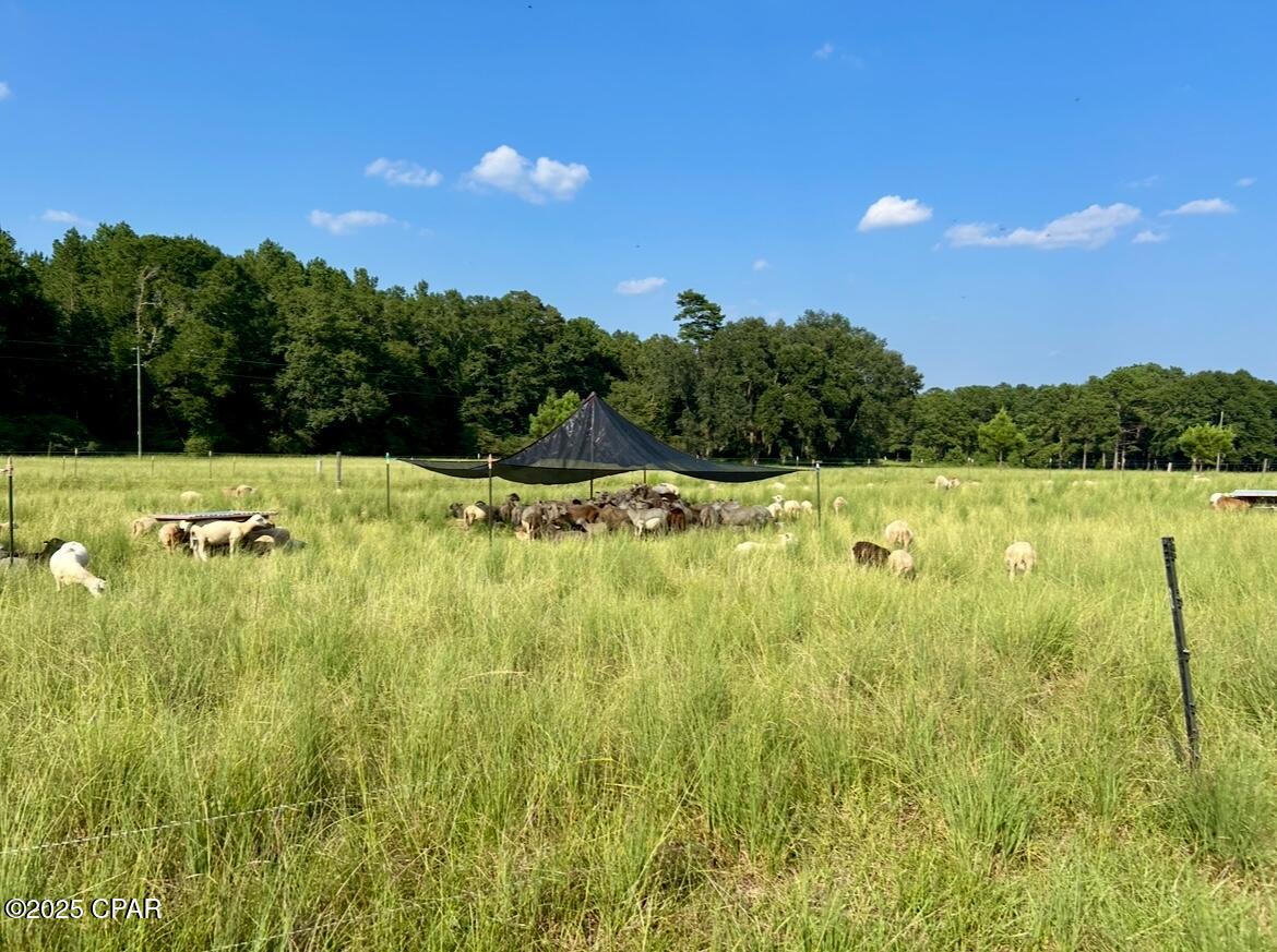 8645 Moores Mill Creek Road Baker, FL 32531 - Photo 9 of 38