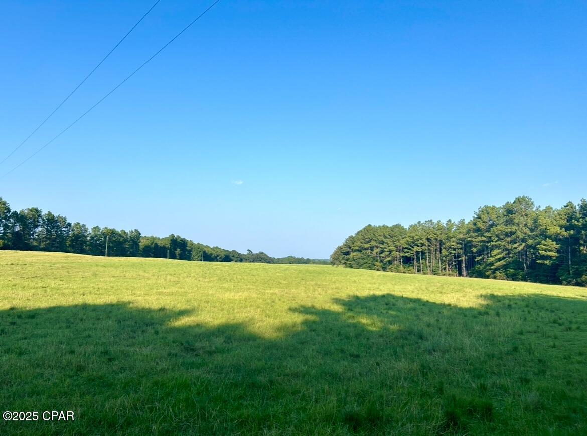 8645 Moores Mill Creek Road Baker, FL 32531 - Photo 10 of 38