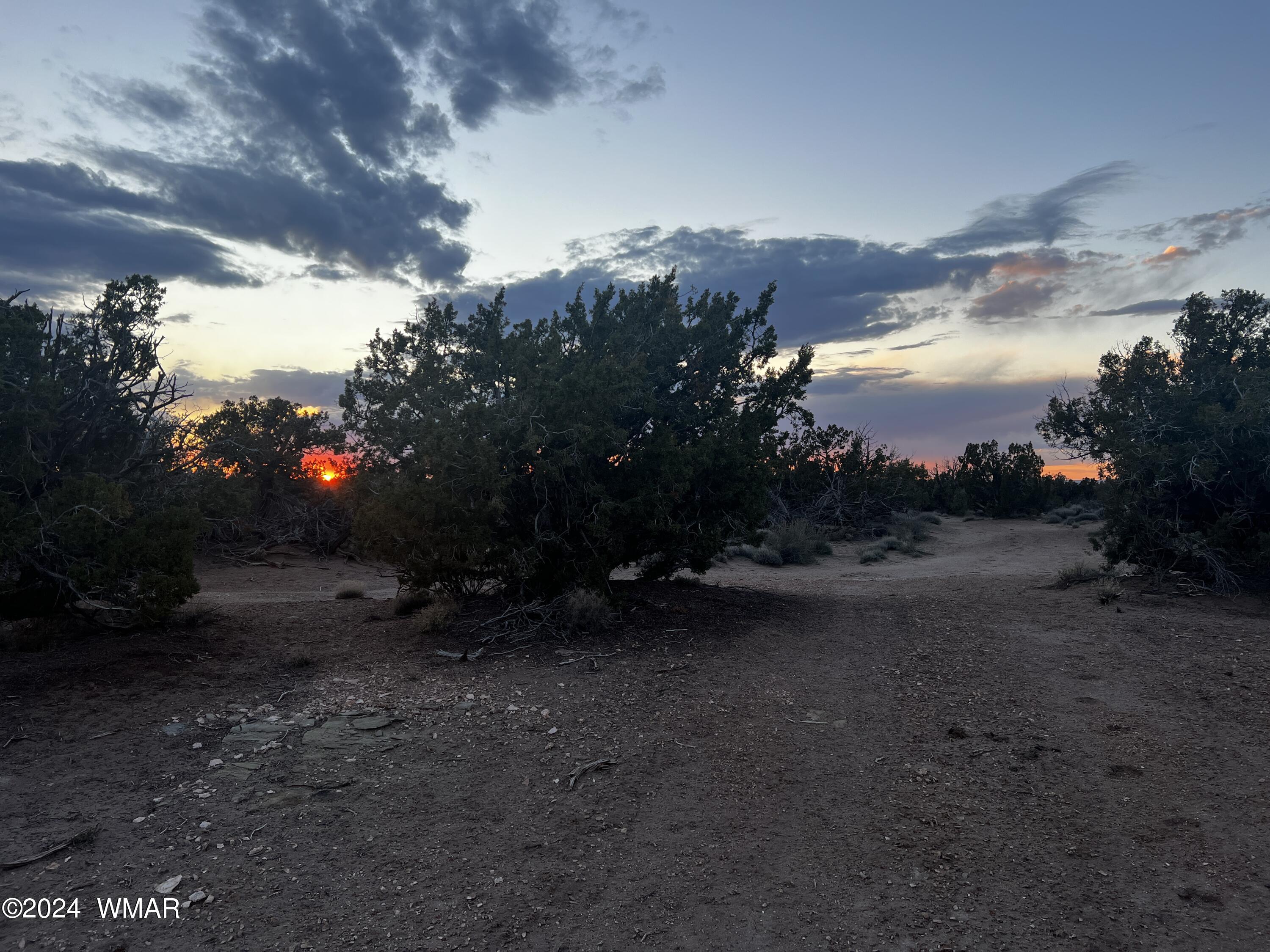 3864 Dusty Road Snowflake, AZ 85937 - Photo 3 of 19 a view of road and trees
