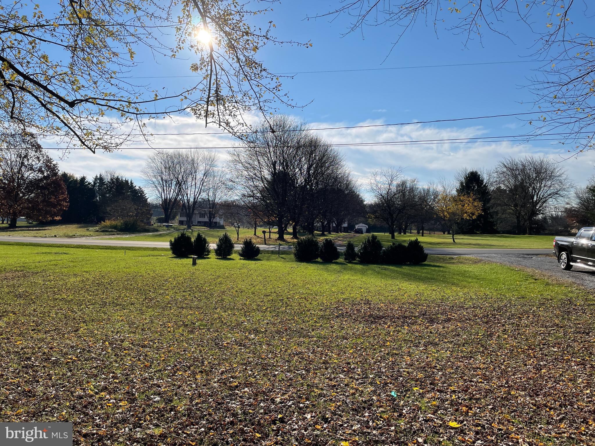 Large Front Yard