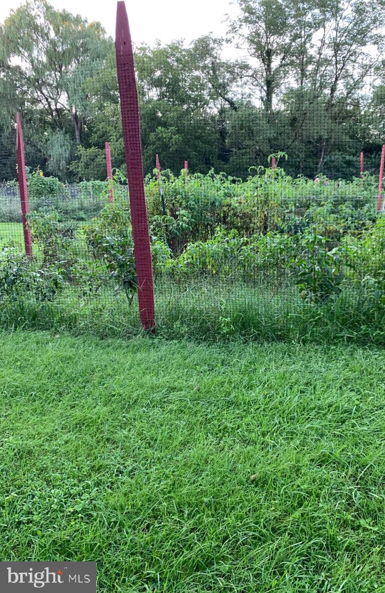 1055 Rest Church Road Clear Brook, VA 22624 - Photo 21 of 21 Screened Garden