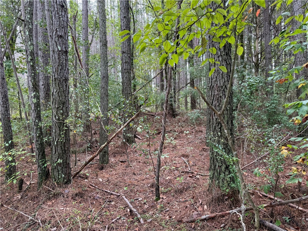 0 Colony Lane West Union, SC 29696 - Photo 2 of 8