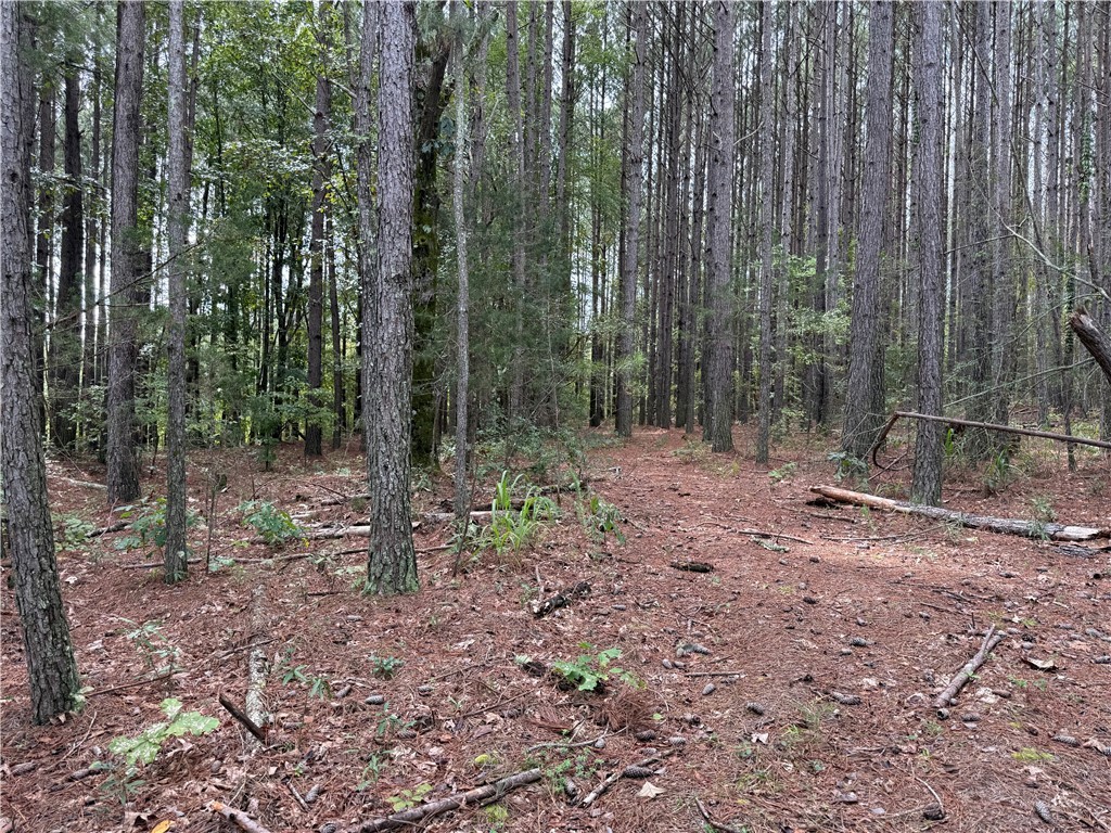 0 Colony Lane West Union, SC 29696 - Photo 3 of 8