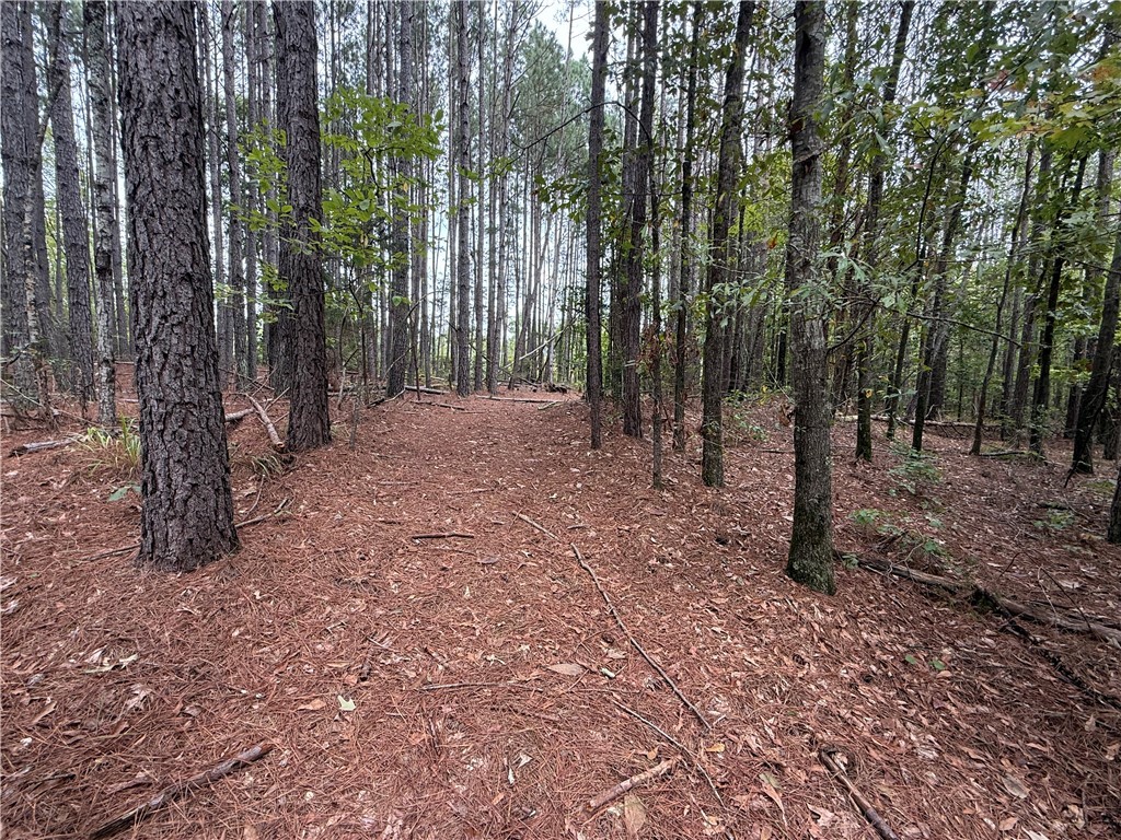 0 Colony Lane West Union, SC 29696 - Photo 8 of 8