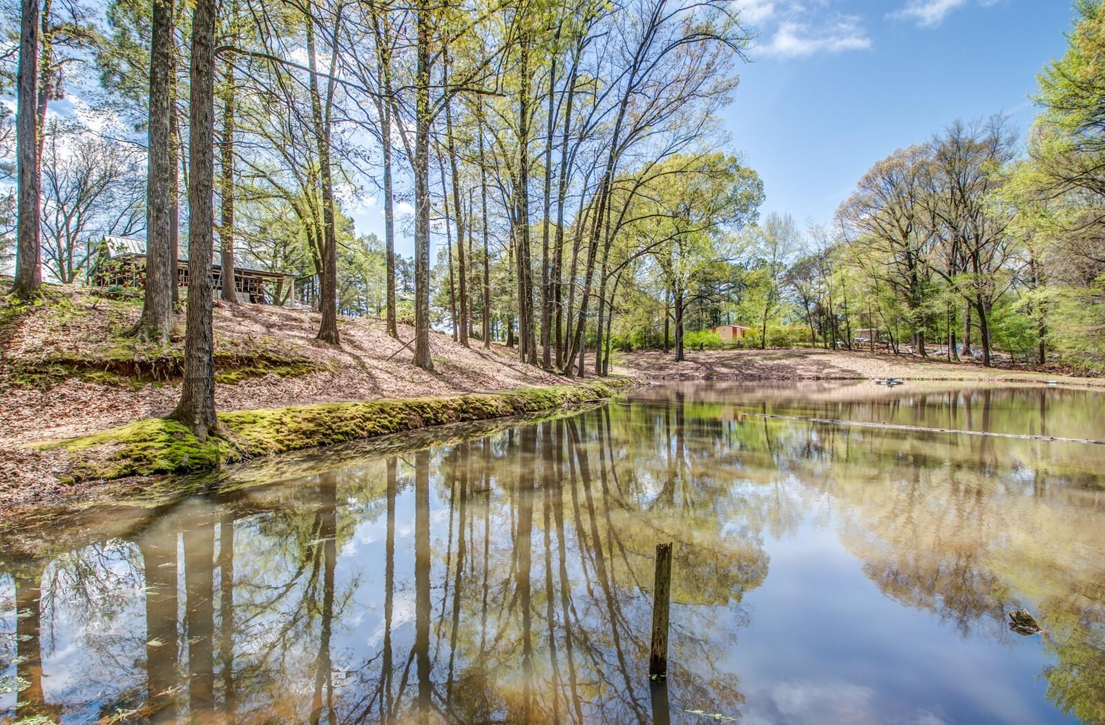 1542 Akins Road Brighton, TN 38011 - Photo 2 of 25 Gallery Image 2