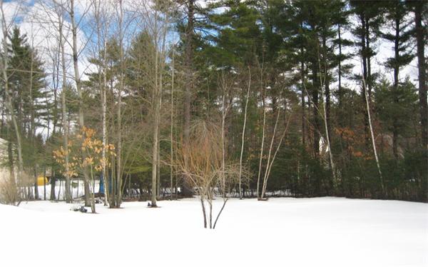 63 Horse Pond Road Shirley, MA 01464 - Photo 26 of 30 Gallery Image 26
