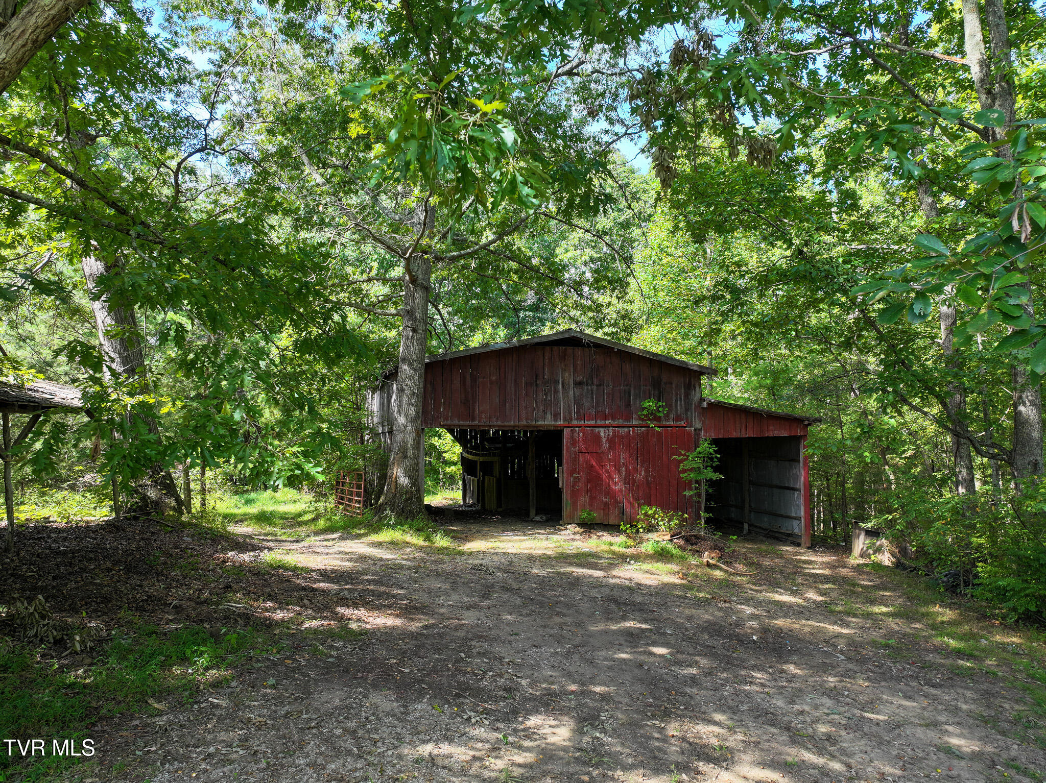 250 Bill Martin Road Afton, TN 37616 - Photo 6 of 23 6