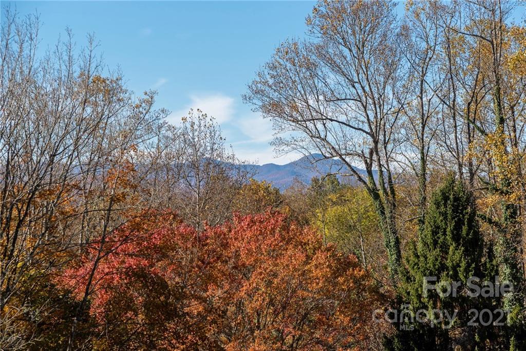 306 Browning Road Hendersonville, NC 28791 - Photo 22 of 48 Gallery Image 22