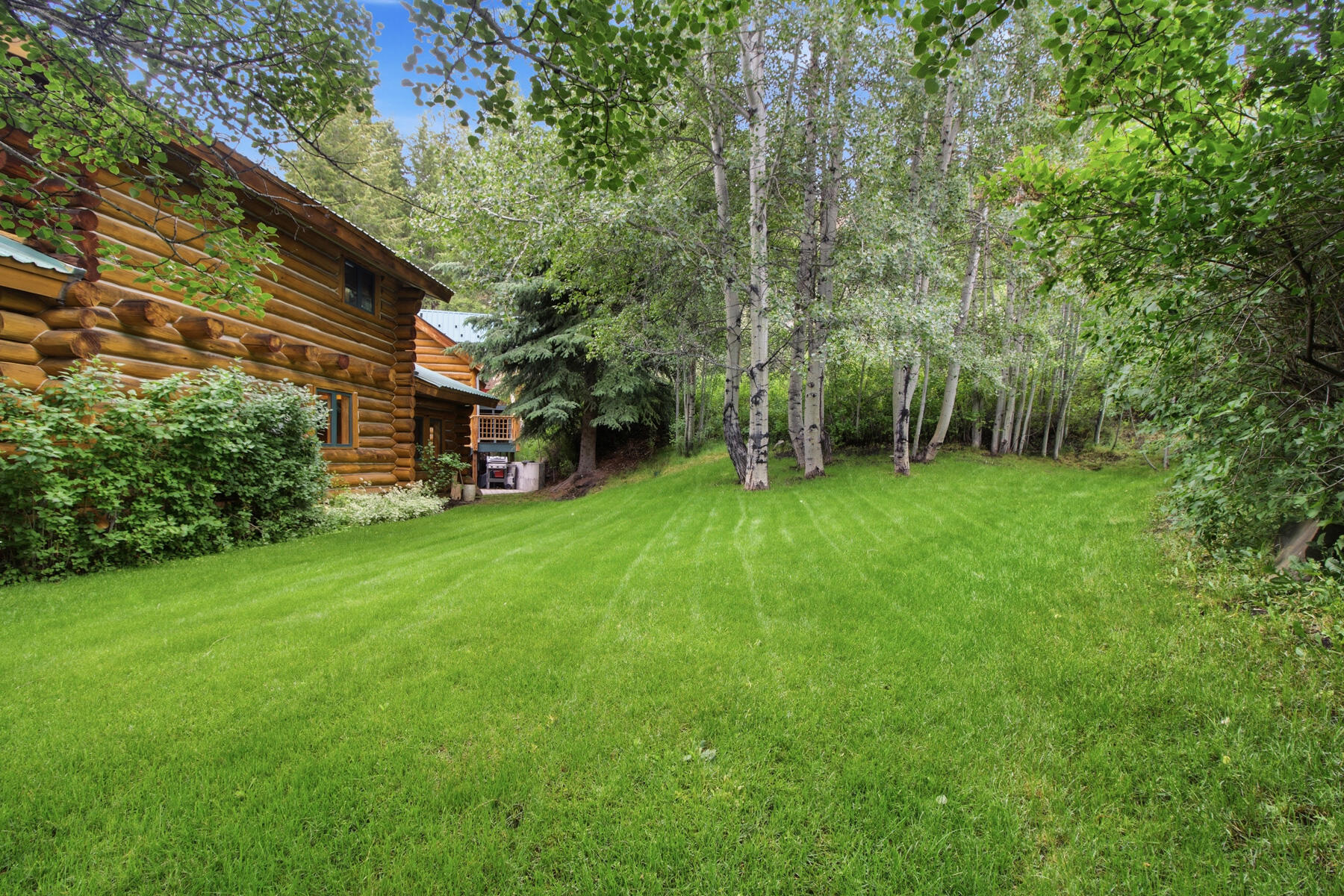 246 Timberline Road Blaine County, ID 83333 - Photo 25 of 29 _MG_4985