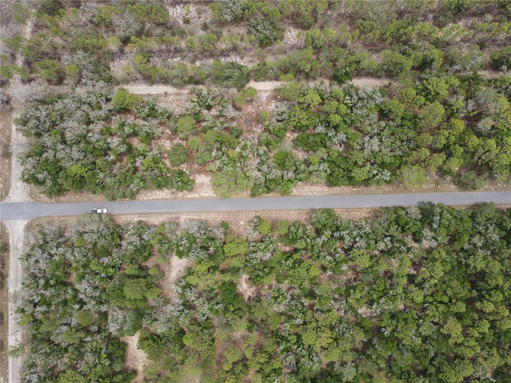 8123 North Yellowbird Avenue Hernando, FL 34442 - Photo 3 of 7 a view of a yard with a tree