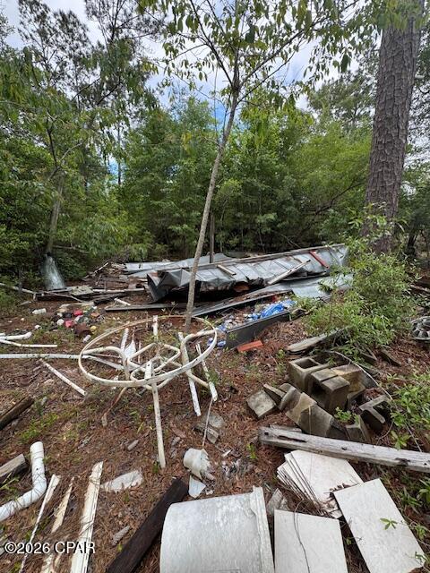 Tbd Pilgrim Rest Church Road Marianna, FL 32448 - Photo 8 of 13