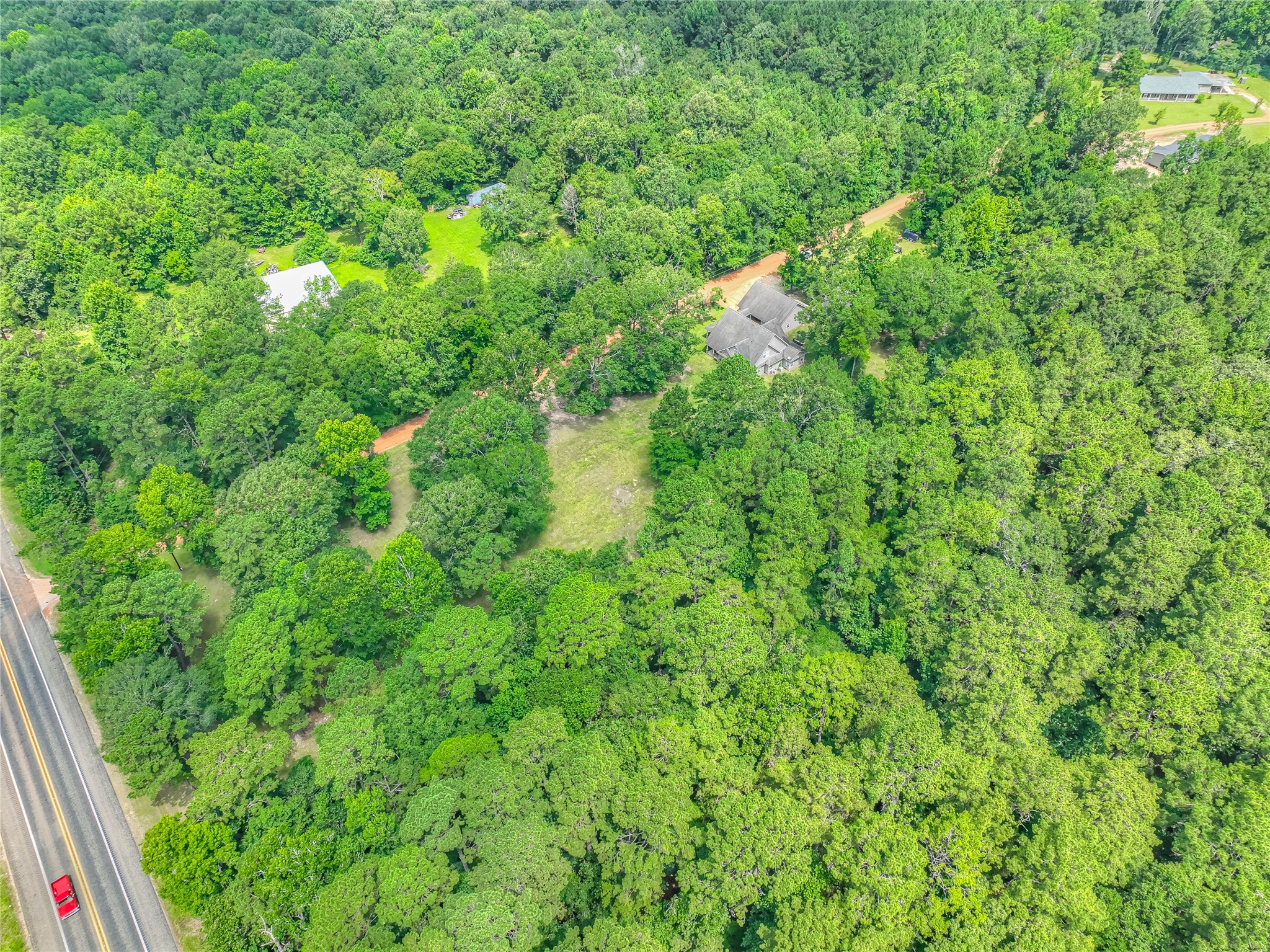 110 Happy Trails Road Coldspring, TX 77331 - Photo 46 of 49 a view of a lush green forest with lots of trees